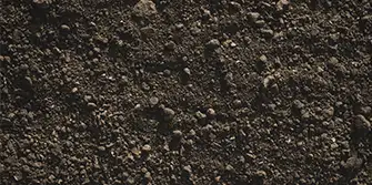 Soil